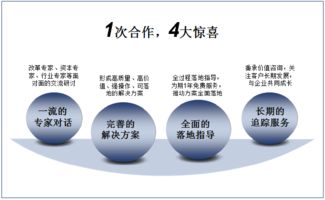 雙百行動(dòng)與國企轉(zhuǎn)型 信息咨詢服務(wù)產(chǎn)品手冊(cè)深度解讀